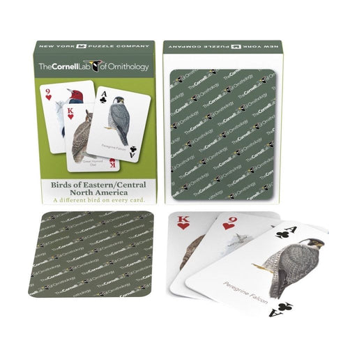 Birds of Eastern/Central North America Playing Cards - Premium Cards - Just $15! Shop now at Retro Gaming of Denver