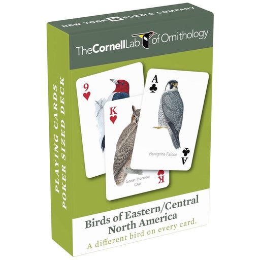 Birds of Eastern/Central North America Playing Cards - Premium Cards - Just $15! Shop now at Retro Gaming of Denver
