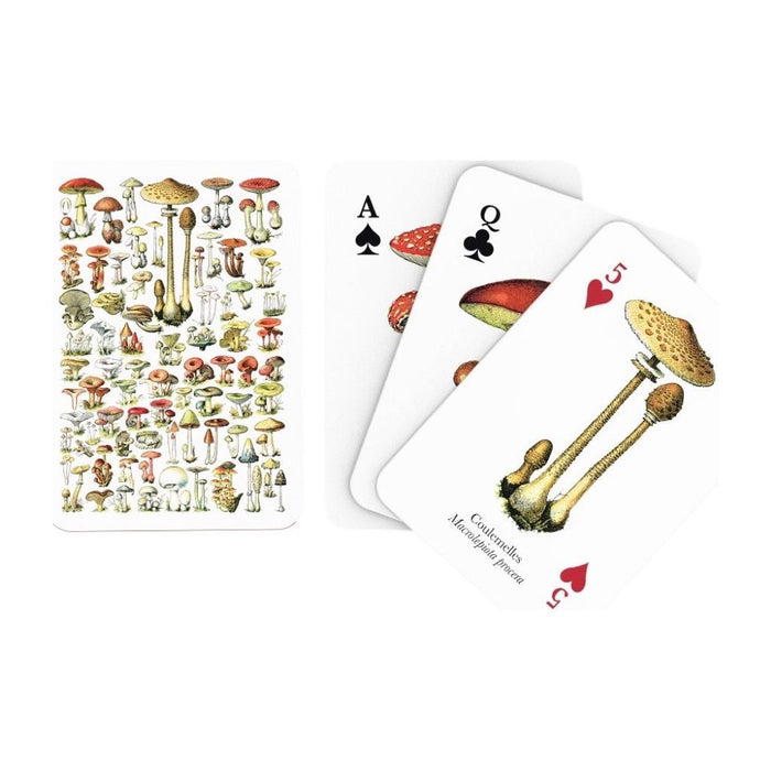 Mushroom Playing Cards - Premium Cards - Just $15! Shop now at Retro Gaming of Denver