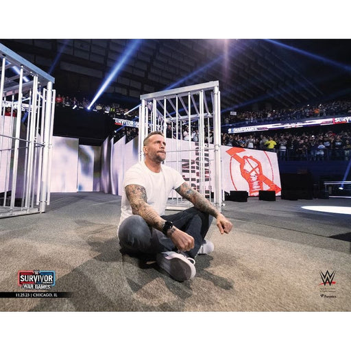 CM Punk Returns at Survivor Series 8" x 10" WWE Wrestling Photo - Premium Unframed Wrestling Photos - Just $9.99! Shop now at Retro Gaming of Denver