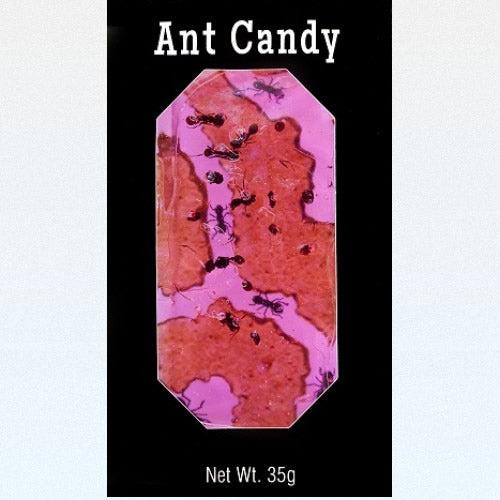 Ant Candy with Real Black Ants - Premium Sweets & Treats - Just $4.95! Shop now at Retro Gaming of Denver