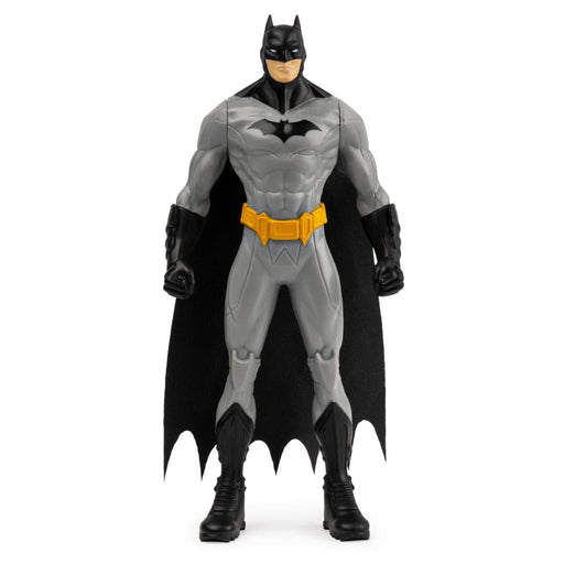 Batman 6" Action Figure Series - Premium Action Figures - Just $5.99! Shop now at Retro Gaming of Denver