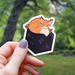 Floral Fox Sleeping on D20 Sticker - 3" - for just $3.50! 