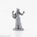 Dark Heaven Legends: Brinewind Townsfolk Goose Lady - for just $6.99! 