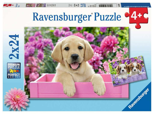 Puzzle: Me and My Pal - for just $12.49! 