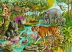 Puzzle: Animals of India - for just $19.99! 