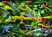 Puzzle: Amazing Amphibians - for just $19.99! 