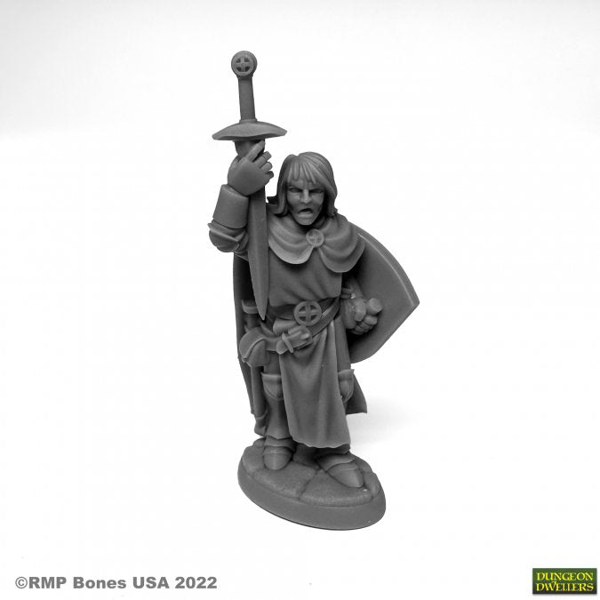 Dungeon Dwellers: Sir Danarel the Holy - for just $5.99! 