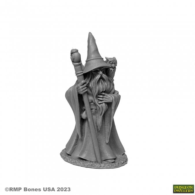 Dungeon Dwellers: Anuminar Winterbeard, Wizard - for just $6.99! 