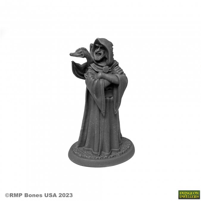 Dungeon Dwellers: Zenfis Zadar, Wizard - for just $6.99! 