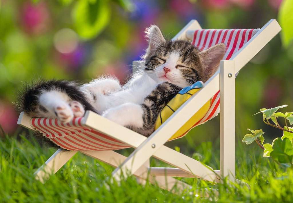 Puzzle: Sleepy Kittens - for just $12.49! 