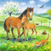 Puzzle: Cuddle Time - for just $12.49! 