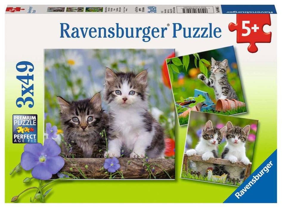 Puzzle: Cuddly Kittens - for just $12.49! 