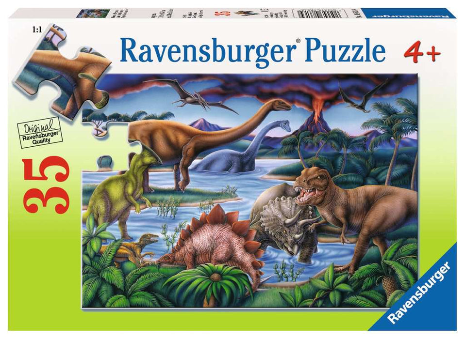 Puzzle: Dinosaur Playground - for just $14! 