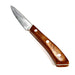 Small Plastic Paring Knife Prop - for just $42! 