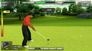 Tiger Woods PGA Tour 08 – PlayStation Portable (PSP) - for just $7.99! 