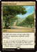 Exotic Orchard (DRC-155) - Commander: Aetherdrift - for just $0.12! 