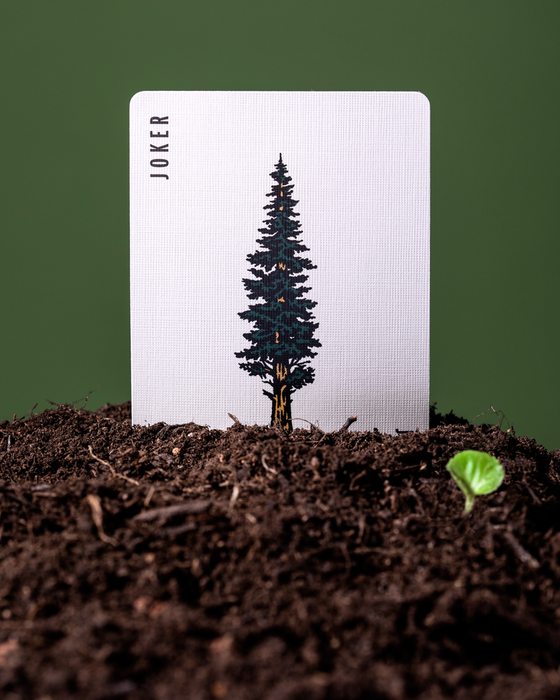 Limited Brown Edition Smokey Bear Playing Cards - for just $14.99! 