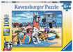 Puzzle: No Dogs on The Beach - for just $13.99! 