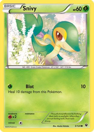 Snivy 005/124 - XY  Fates Collide - for just $0.05! 