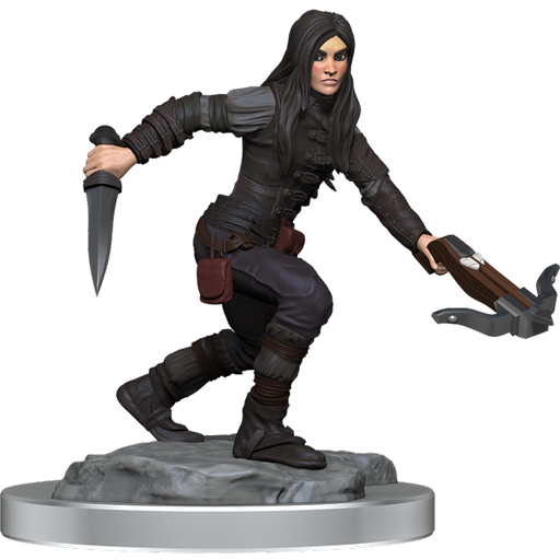D&D Nolzur's Marvelous Miniatures: Half-Elf Rogue Female - for just $5.99! 