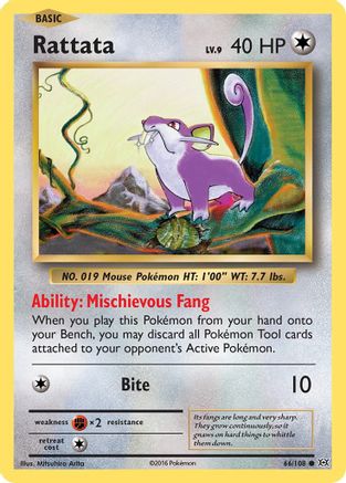 Rattata 066/108 - XY  Evolutions - for just $0.05! 