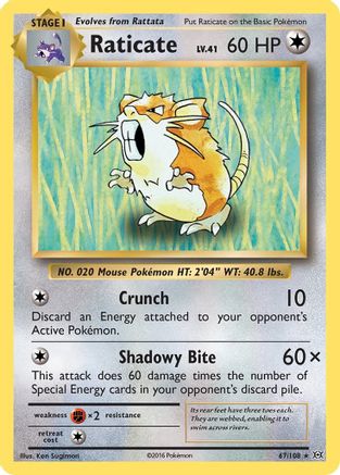 Raticate 067/108 - XY  Evolutions Reverse Holofoil - for just $0.22! 