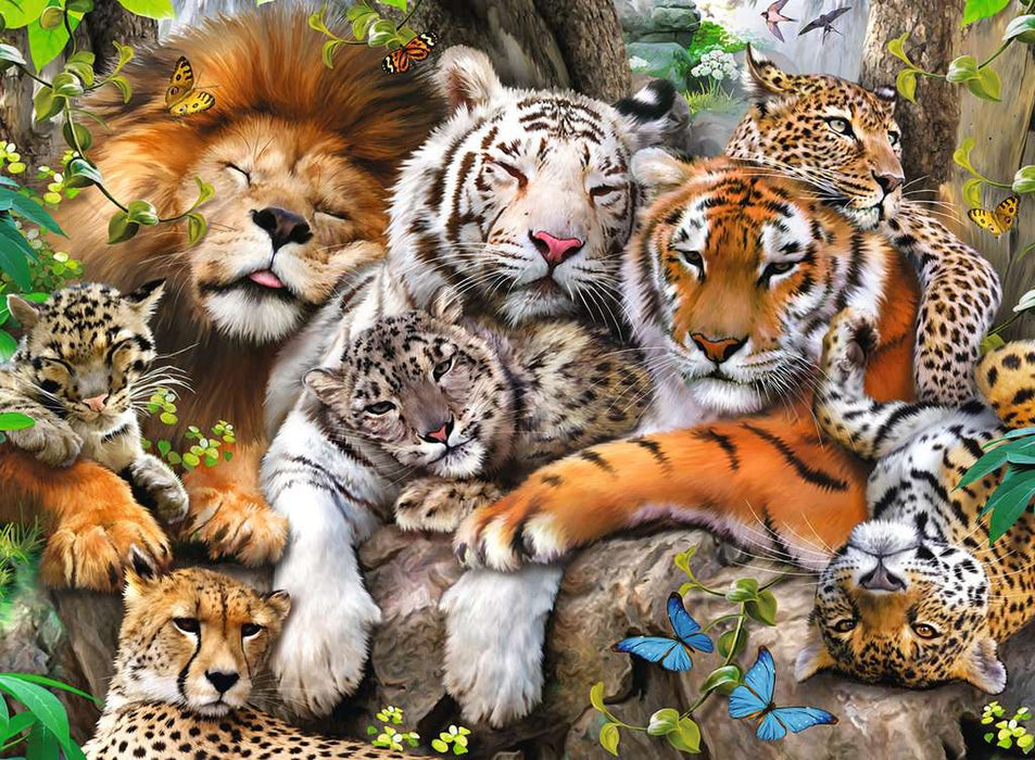 Puzzle: Big Cat Nap - for just $14.49! 