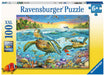 Puzzle: Swim with Sea Turtles - for just $19.99! 