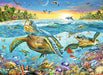 Puzzle: Swim with Sea Turtles - for just $19.99! 