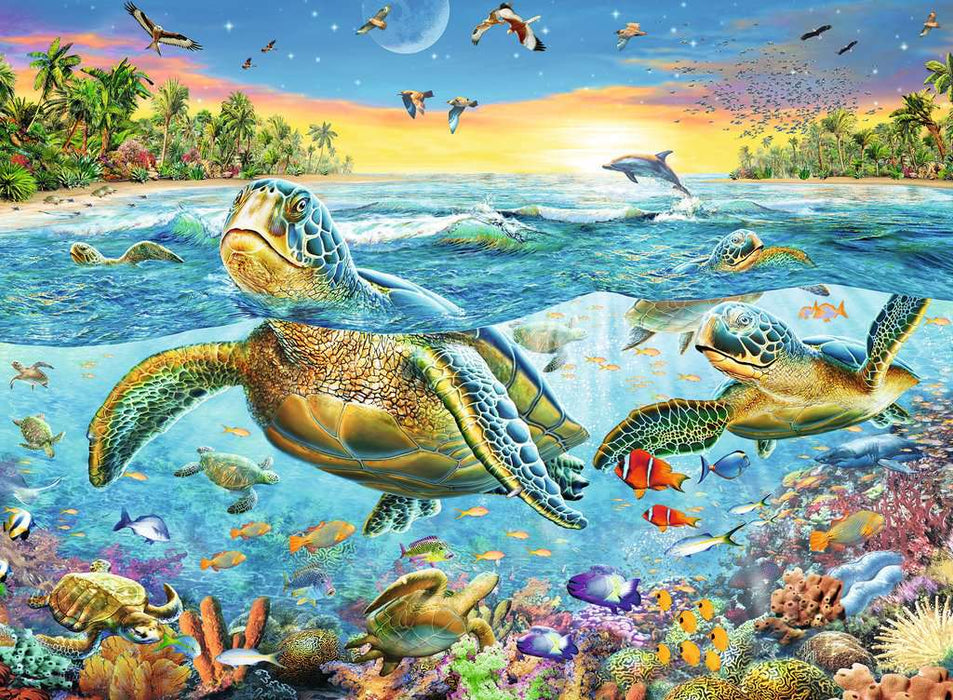 Puzzle: Swim with Sea Turtles - for just $19.99! 