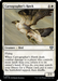 Cartographer's Hawk (CMM-018) - Commander Masters - for just $0.09! 