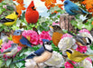 Puzzle: Garden Birds - for just $15.49! 