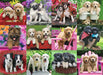 Puzzle: Puppy Pals - for just $15.49! 