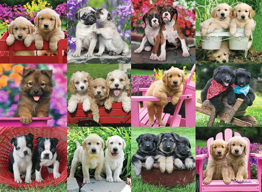 Puzzle: Puppy Pals - for just $15.49! 