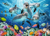 Puzzle: Dolphins in the Coral Reef - for just $18! 