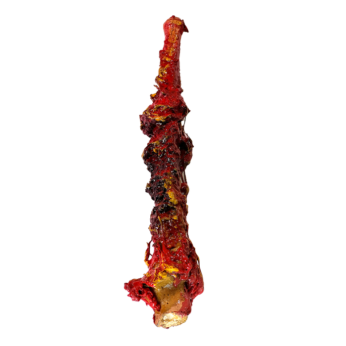 Realistic Ulna Bone Lightweight Rigid Foam - with Light Gore Effects - for just $35! 