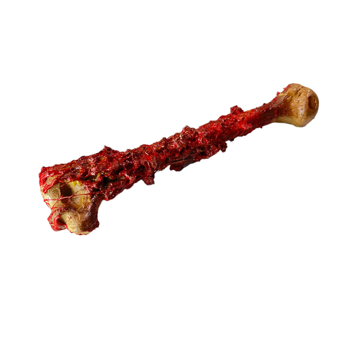 Realistic Lightweight Rigid Foam Humerus Prop - for just $40! 