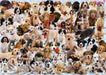 Puzzle: Dogs Galore - for just $20.99! 