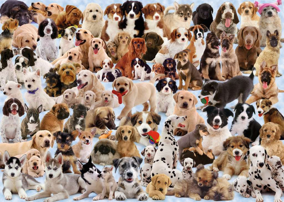 Puzzle: Dogs Galore - for just $20.99! 