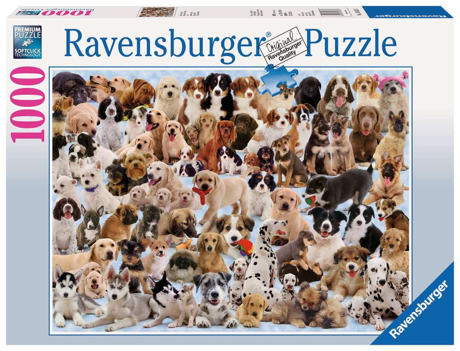 Puzzle: Dogs Galore - for just $20.99! 