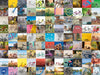 Puzzle: 99 Bicycles - for just $28.99! 