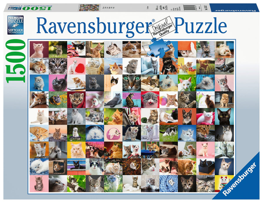 Puzzle: 99 Cats - for just $28.99! 
