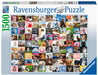 Puzzle: 99 Cats - for just $28.99! 