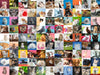 Puzzle: 99 Cats - for just $28.99! 