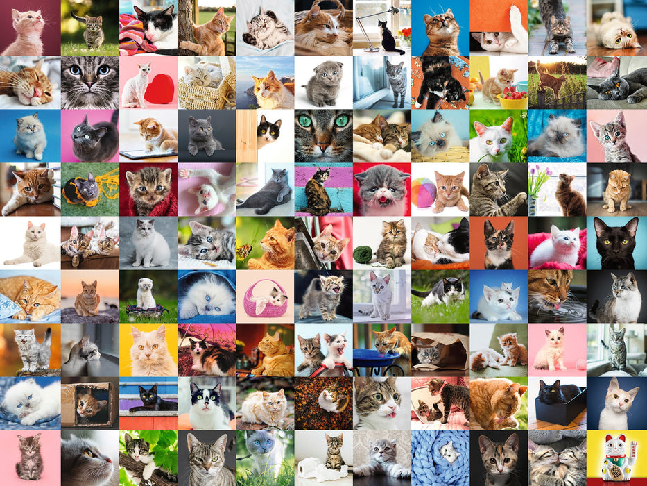 Puzzle: 99 Cats - for just $28.99! 