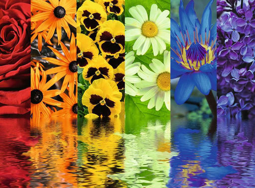 Puzzle: Floral Reflections - for just $15.49! 