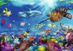 Puzzle: Snorkeling - for just $24.99! 