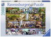 Puzzle: Wild Kingdom Shelves - for just $34.99! 