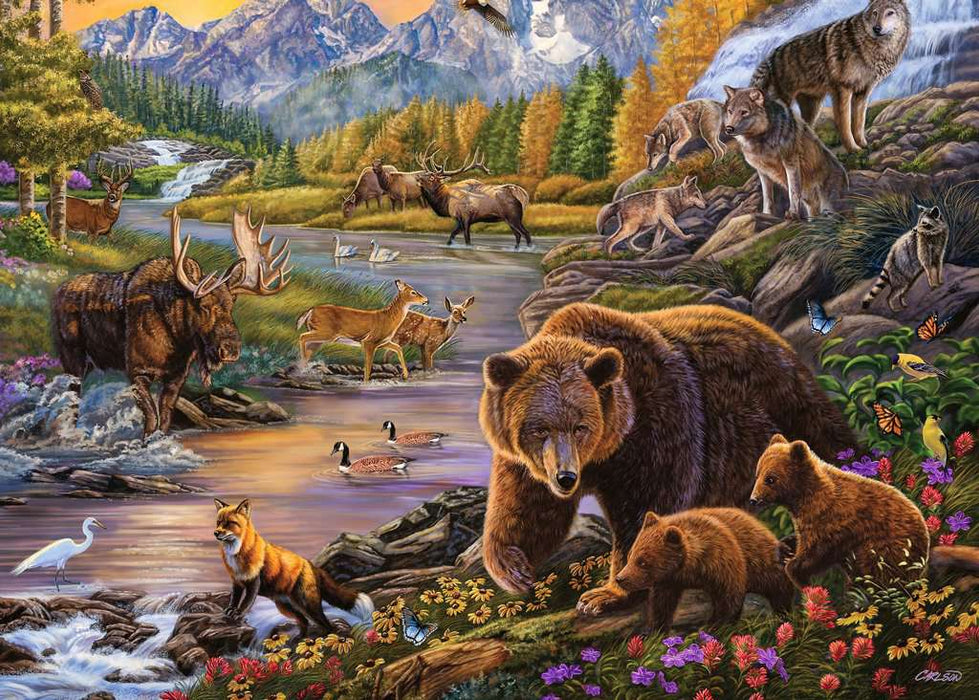Puzzle: Large Format - Wilderness - for just $18.49! 